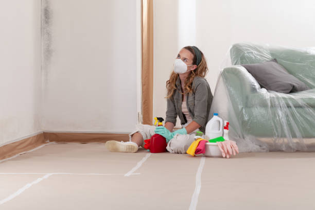 Reliable Crawl Space Mold Removal contractor in Deerfield, MI by WQB Mold Removal