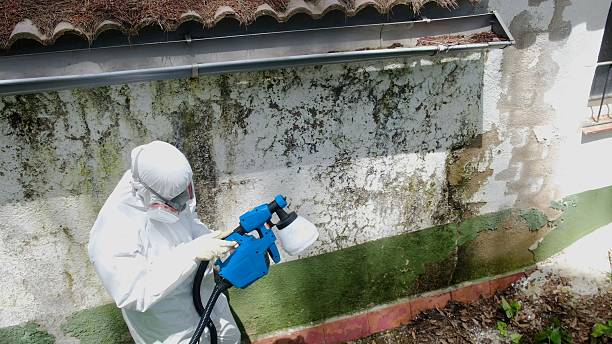 Top rated local Crawl Space Mold Removal specialists in Deerfield, MI